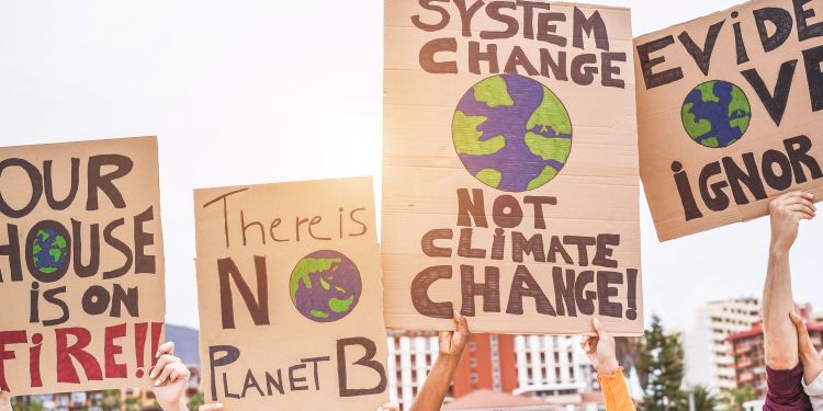 The Legal Fight Against Climate Change: How Laws and Litigation Are Shaping a Greener Future