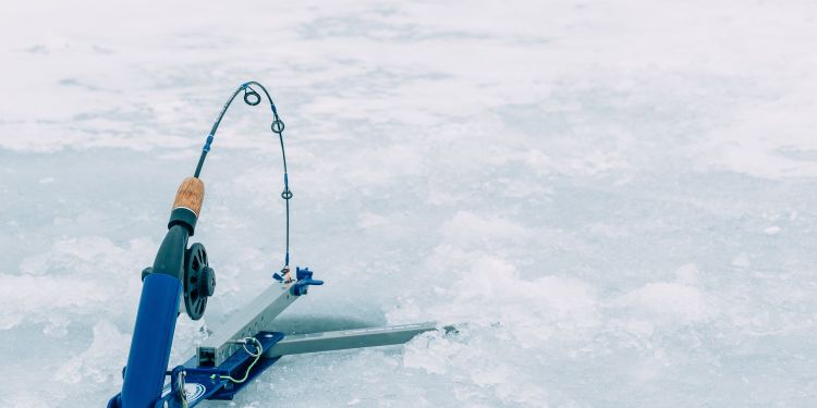 How to Ice Fish for Panfish (Bluegill, Crappie, Perch): A Complete Guide for Beginners