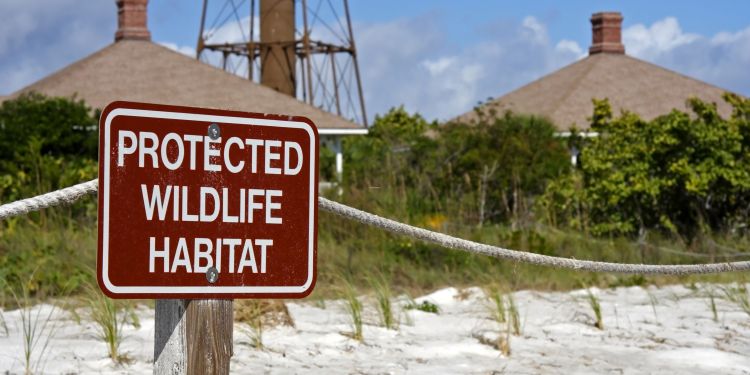 Wildlife Protection Laws: Are They Effective?