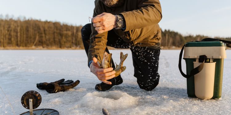 Ice Fishing for Trout: Tips and Techniques for a Successful Catch