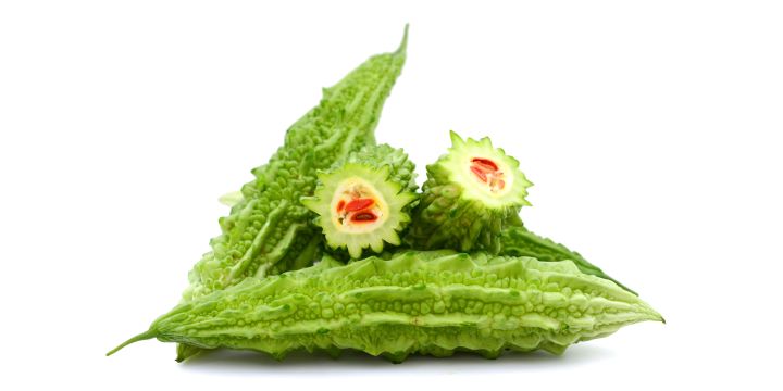 Bitter Gourd Used For Good Medical Purposes