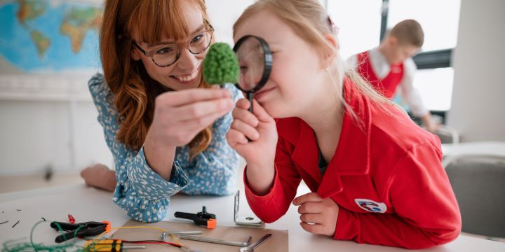 Candy Bird empowering education the crucial role of ngos in inclusive learning