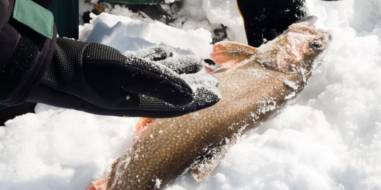 Essential Ice Fishing Gear for Beginners: A Comprehensive Guide