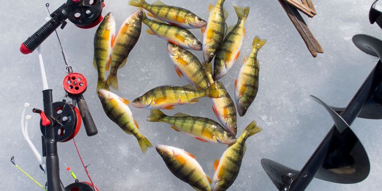 Top Ice Fishing Rods and Reels for 2025: A Comprehensive Guide