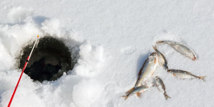 Mastering the Art of Jigging for Ice Fishing: A Comprehensive Guide to Success