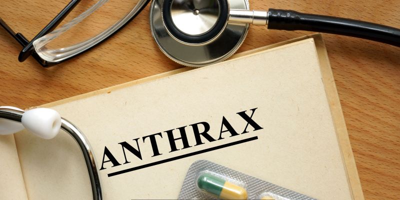 Anthrax Outbreak in Zambia: Unraveling the Threat and Response
