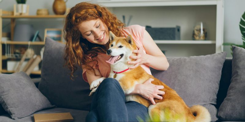 Choosing Between Holiday Boarding and Pet Sitter