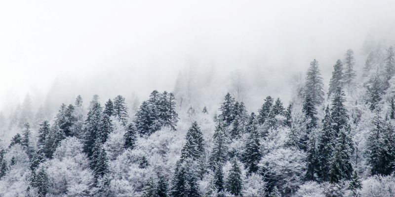 Forecast for the Winter of 2024: Navigating the Chills