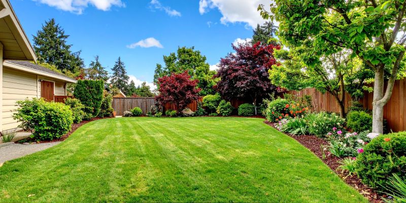 Transforming Your Small Backyard: A Complete Makeover