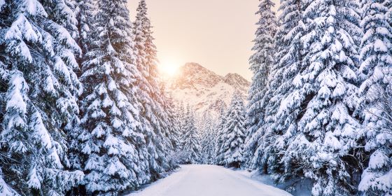 Forecast for the Winter of 2024: Navigating the Chills