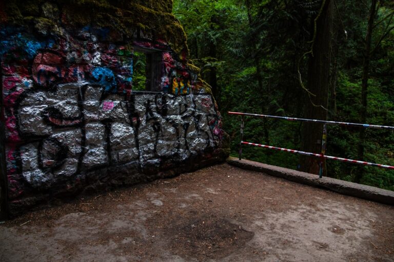 Photo Damp walls or carpets