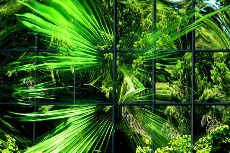 Photo Biophilic design