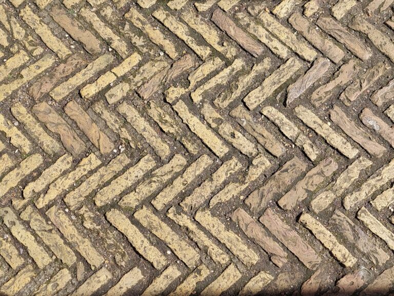 Photo Statement carpet tiles