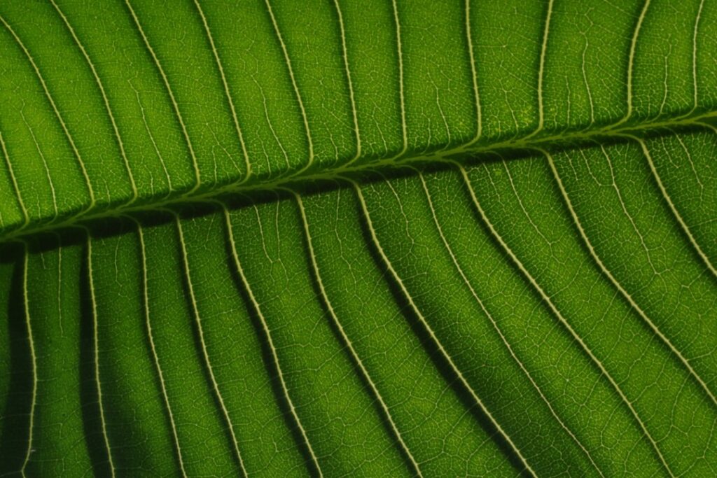 Eco-Conscious Materials Every Modern Homeowner Wants