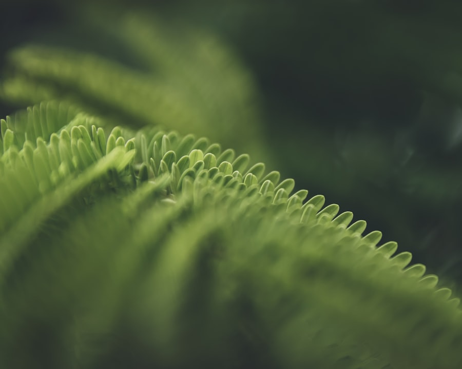 Photo Eco-Conscious Materials