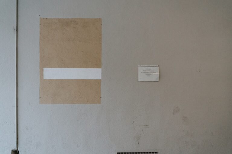 Photo Flooring, Paint & Wallpaper