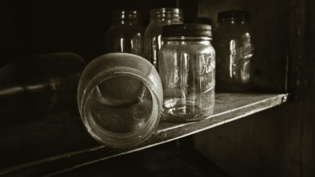 Prevent Kitchen Pests This Holiday Season