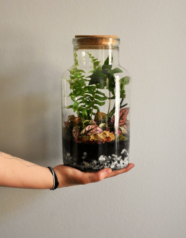 Photo DIY ideas