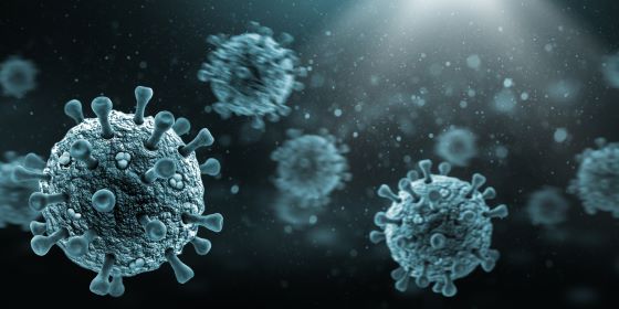 Unraveling the Enigma: Western Equine Encephalitis and Your Safety